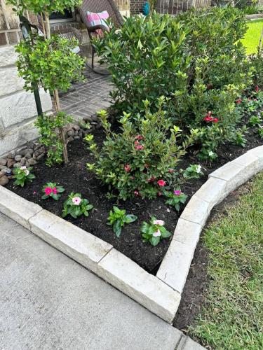 Landscaping in Magnolia Creek Subdivision, League City. Seasonal flowers.