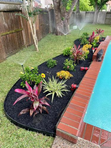 Landscaping in South Shore Harbour Subdivision, League City. Tropical, low maintenance. Behind pool landscape. 