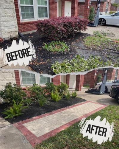 Landscaping in Magnolia Creek Subdivision, League City. Before & After