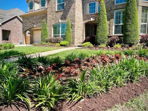 Landscaping in West Ranch, Subdivision, Friendswood. Front yard landscaping. Seasonal color.