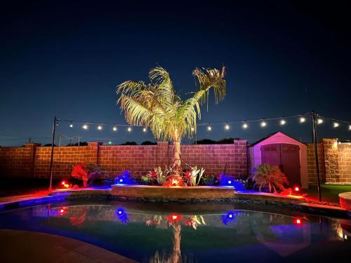 Landscape lighting, pool lighting, tree uplighting, walkway lighting