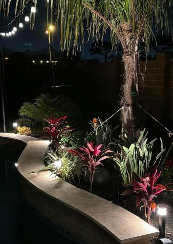 Landscape lighting, pool lighting, tree uplighting, walkway lighting