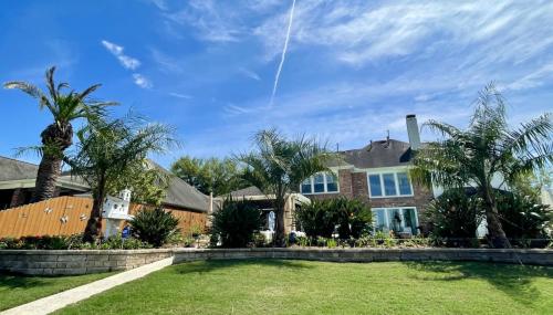 Mule palm trees, backyard renovation. Landscape design