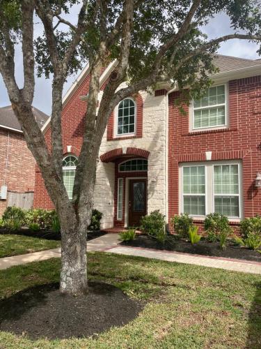Landscaping design, Tree Trimming, Plants and shrubs