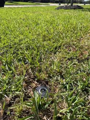 Yard irrigation, sod sprinkler, irrigation project