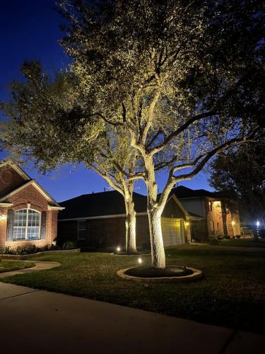 Landscape lighting, pool lighting, tree uplighting, walkway lighting