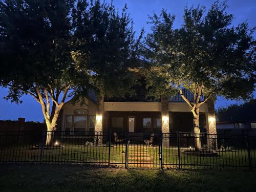Landscape lighting, pool lighting, tree uplighting, walkway lighting