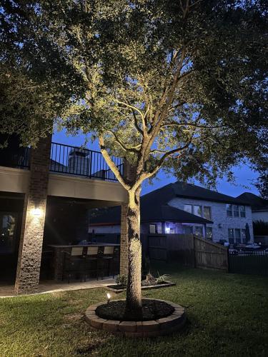 Landscape lighting, pool lighting, tree uplighting, walkway lighting