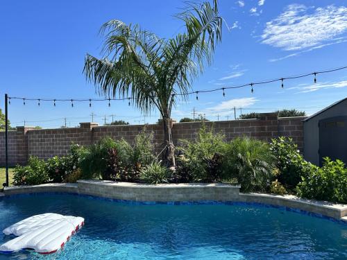 Mule palm trees, backyard renovation. Landscape design